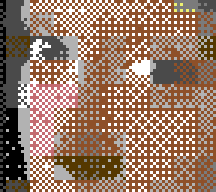 Ordered 8×8 in hires