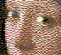 Blue noise in Koala