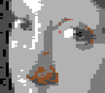 None in Koala