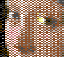 Ordered 4×4 with Wide pixels: Classic