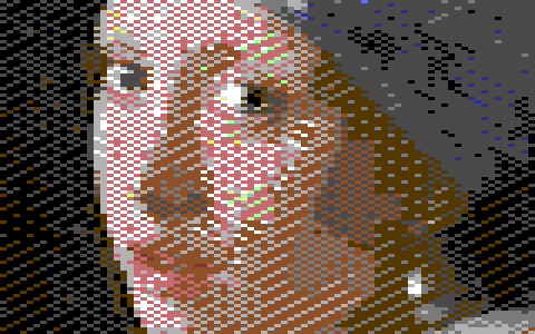 The same detail as a multicolor bitmap
